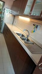 Tanglin Park (D10), Condominium #624139941